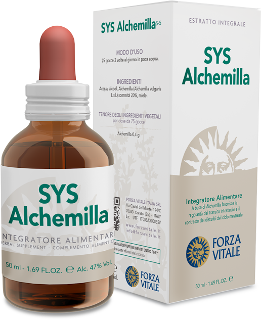 SYS Alchemilla