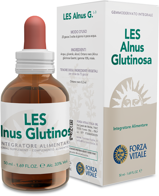LES Alnus glutinosa