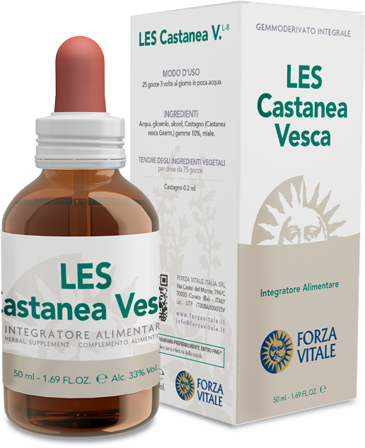 LES Castanea vesca