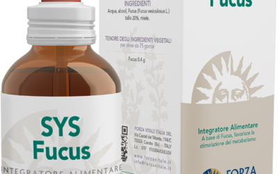 SYS Fucus