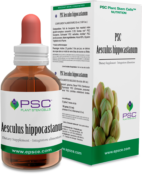 PSC® Aesculus hippocastanum