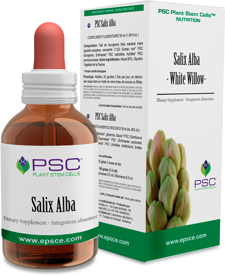 PSC Salix alba