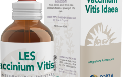 LES Vaccinium vitis idaea