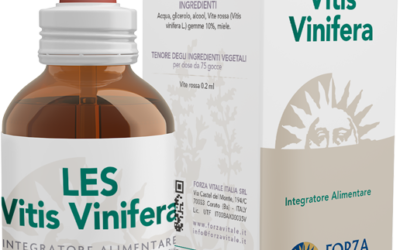 LES Vitis vinifera